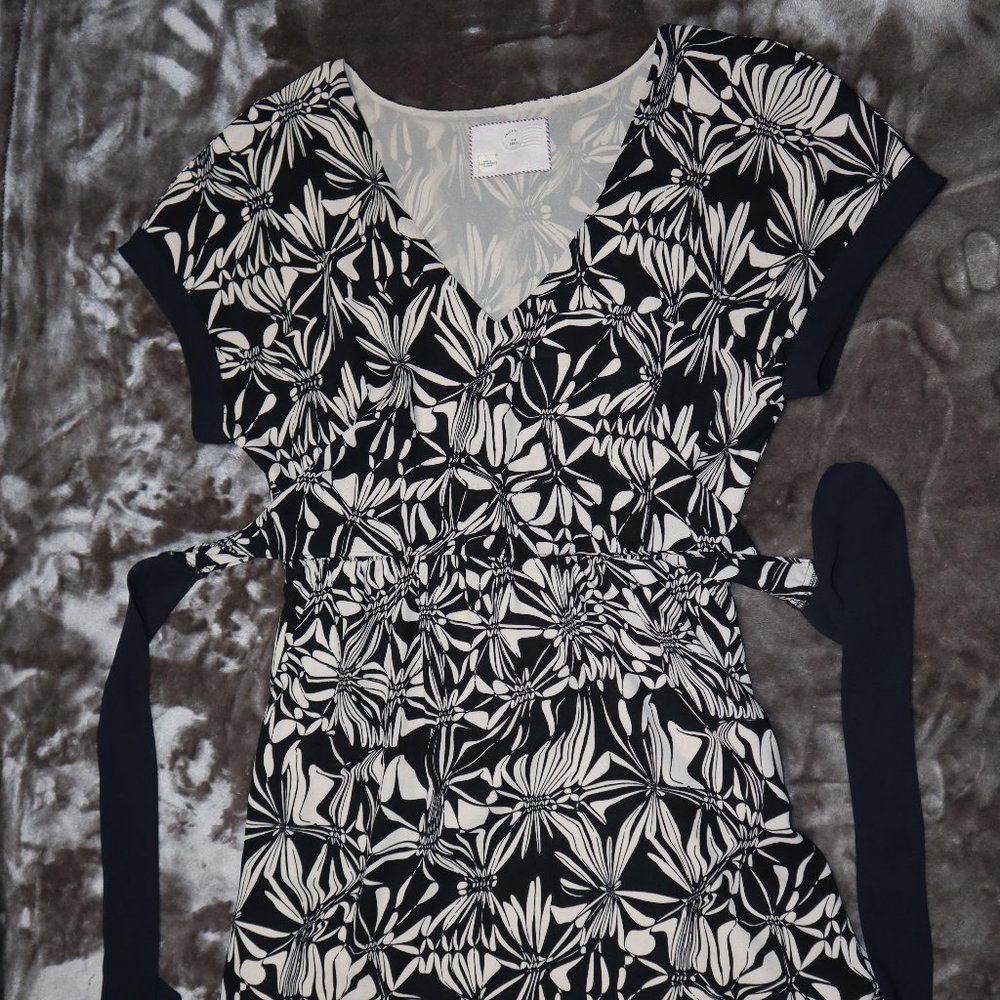 Anthropologie Postcard Tie Waist Dress
